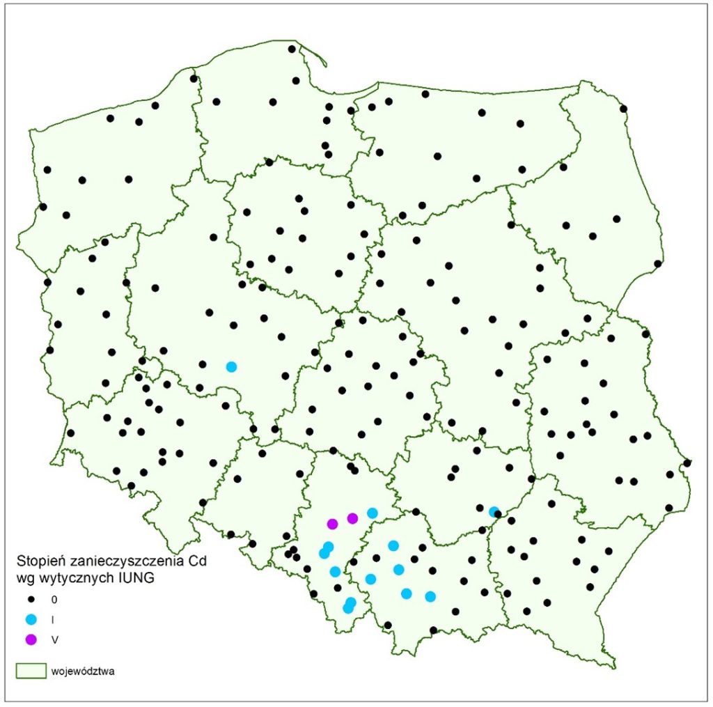 Rozkład profili o określonych stopniach zanieczyszczenia gleby kadmem wg wytycznych IUNG
